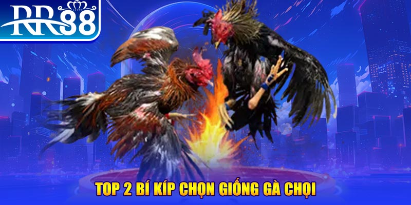 win123 bắn cá h5