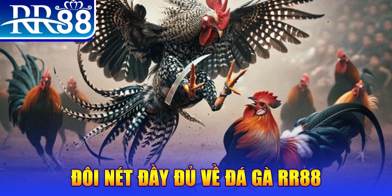 win123 gà chọi hoà phong