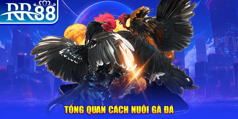 win123 xổ số thứ ba