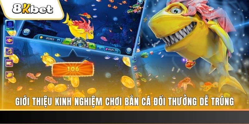 win123 xổ số miền bắc hôm