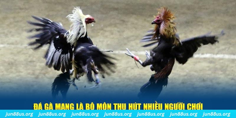 win123 xổ số long an