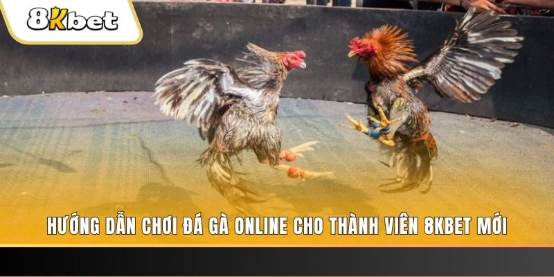 win123 nổ hũ đổi thưởng . ai