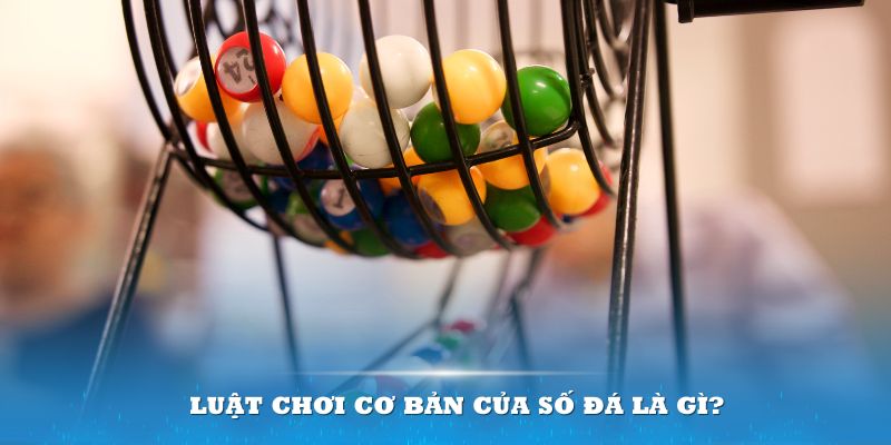 win123 Đĩa màu ace