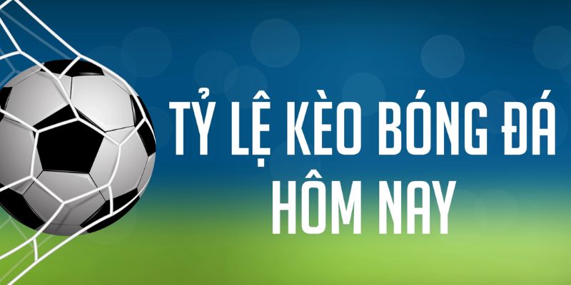 win123 ÁT CHỦ MÁY HOA QUẢ THẦN TÀI