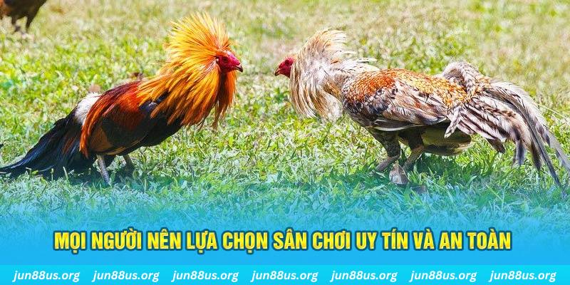 win123 Tài Xỉu
