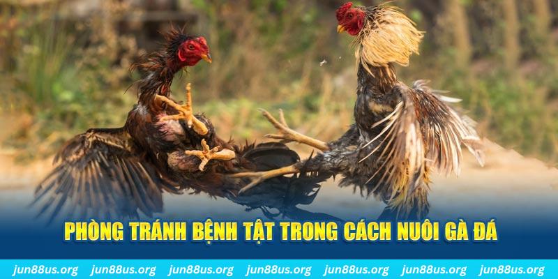 win123 natural” trong baccarat nghĩa là gì？